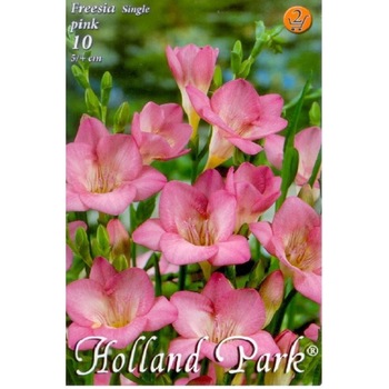 Bulbi Frezii roz HOLLAND PARK 10 bucati Bulbi Frezii roz HOLLAND PARK 10 bucati
