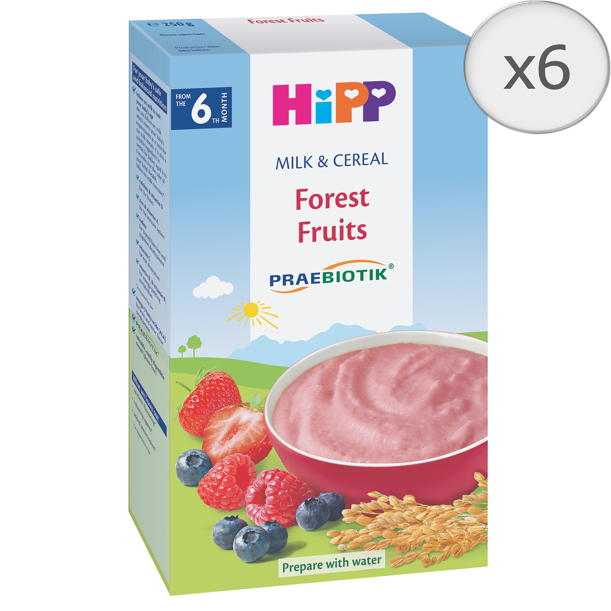 Pachet 6x Cereale HIPP cu Fructe de Padure, 250g, de la 6 luni