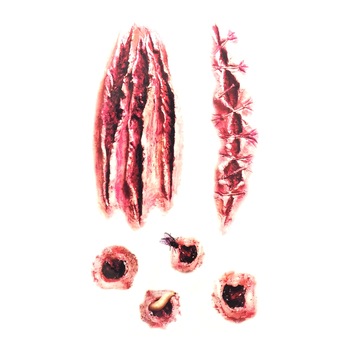 Tatuaj temporar Plagi pentru Halloween Party 21 x 10 cm, Nevermore® KR170 Tatuaj temporar Plagi pentru Halloween Party 21 x 10 cm, Nevermore® KR170