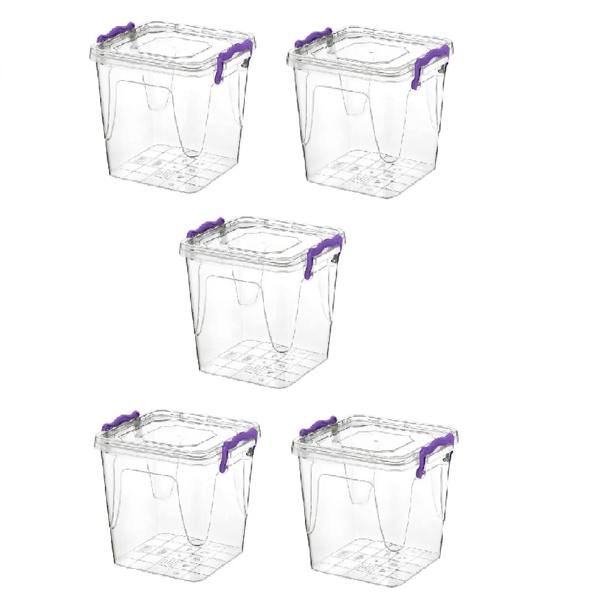 Pachet 5 cutii de depozitare cu capac, transparente, 20x19x19 cm