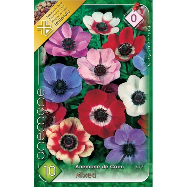 Bulbi Anemone de Caen Mixte HOLLAND PARK 10 bucati