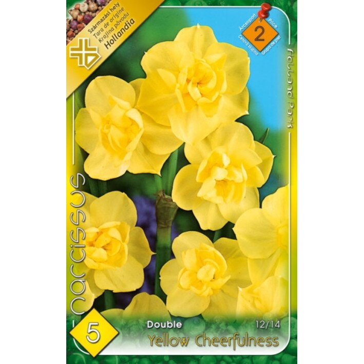 Bulbi Narcise Duble Yellow Cheerfulness HOLLAND PARK 5 bucati