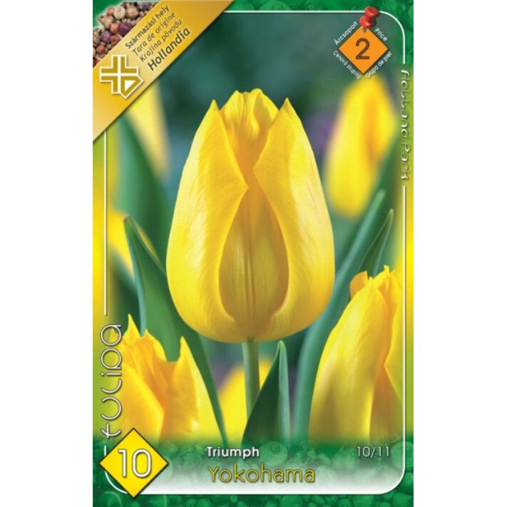 Bulbi Lalele Yojohama HOLLAND PARK 10 bucati