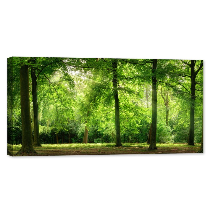 GlowforHome lumineszcens vászonfestmény, világít a sötétben, Dualv-View, fa keret, foszforeszkáló, friss zöld erdő álomszerű hangulatban, 120 cm x 60 cm
