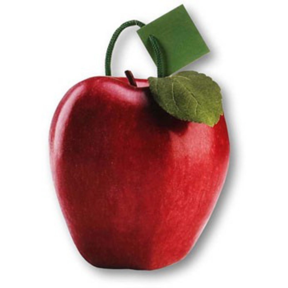 Punga de hartie-In forma de mar rosu