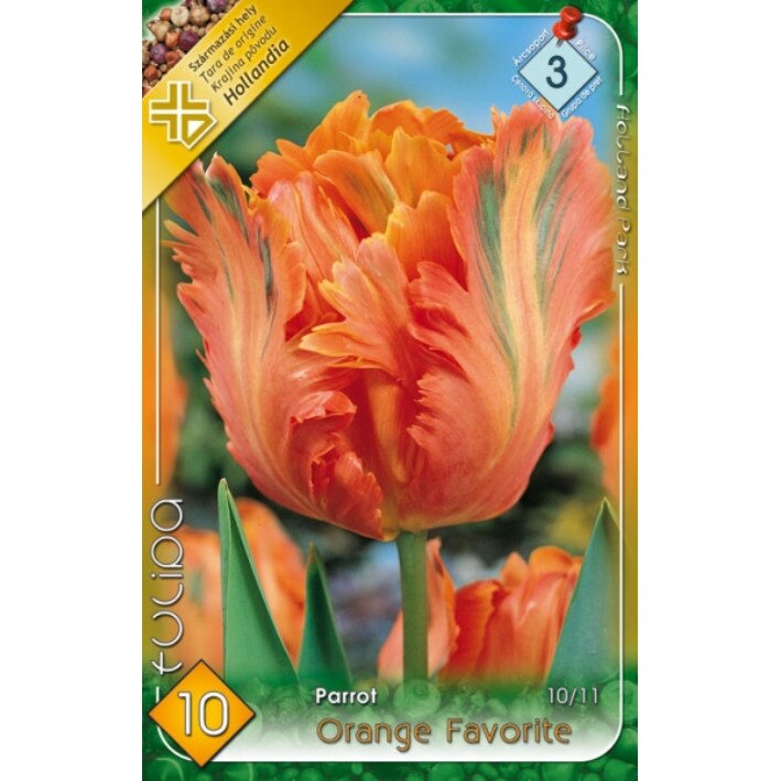 Bulbi Lalele Orange Favorite HOLLAND PARK 10 bucati