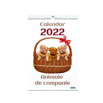 Calendar 2022 Animale de companie, 13 file carton lucios Calendar 2022 Animale de companie, 13 file carton lucios