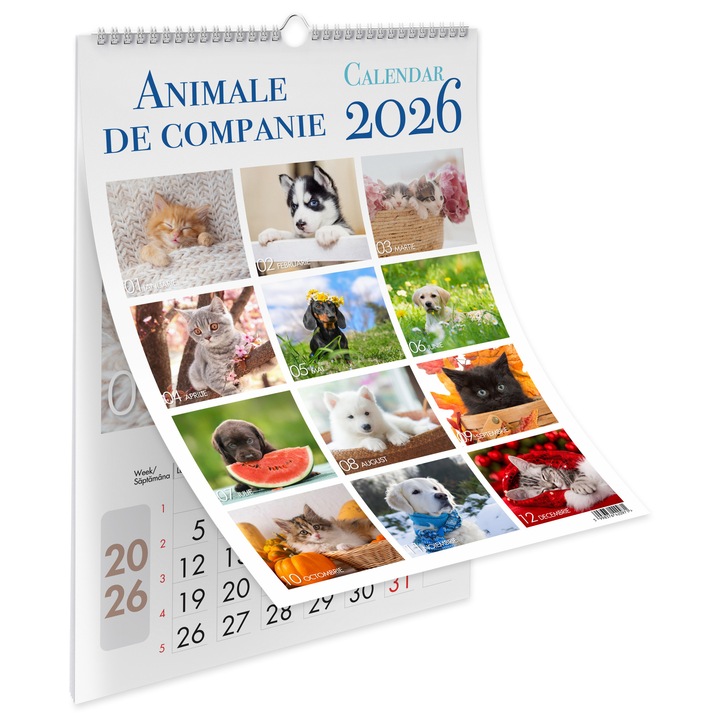 Calendar 2026 Animale de companie, 13 file carton lucios, 32x45 cm