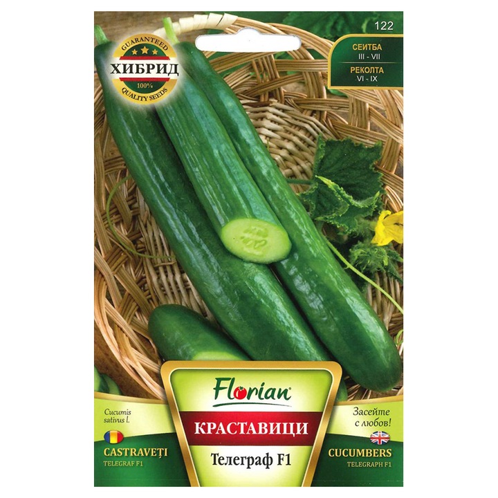 Seminte de castravete Telegraph F1, 1 gram