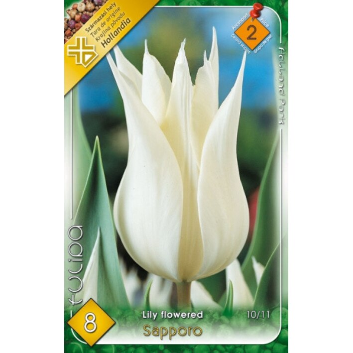 Bulbi Lalele Sapporo HOLLAND PARK 8 bucati