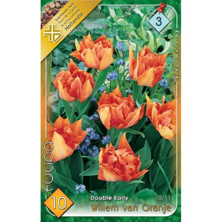 Bulbi Lalele duble Willem van Oranje HOLLAND PARK 10 bucati