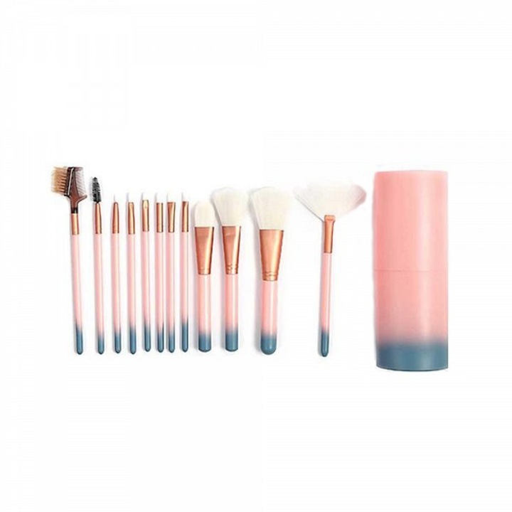 Set 12 pensule cu etui Sela LR12YW