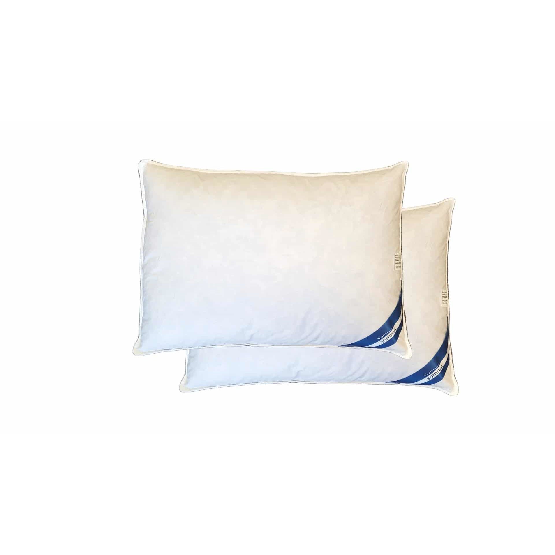 Set 2 Perne Somnart Natur din pene de gasca, 50x70