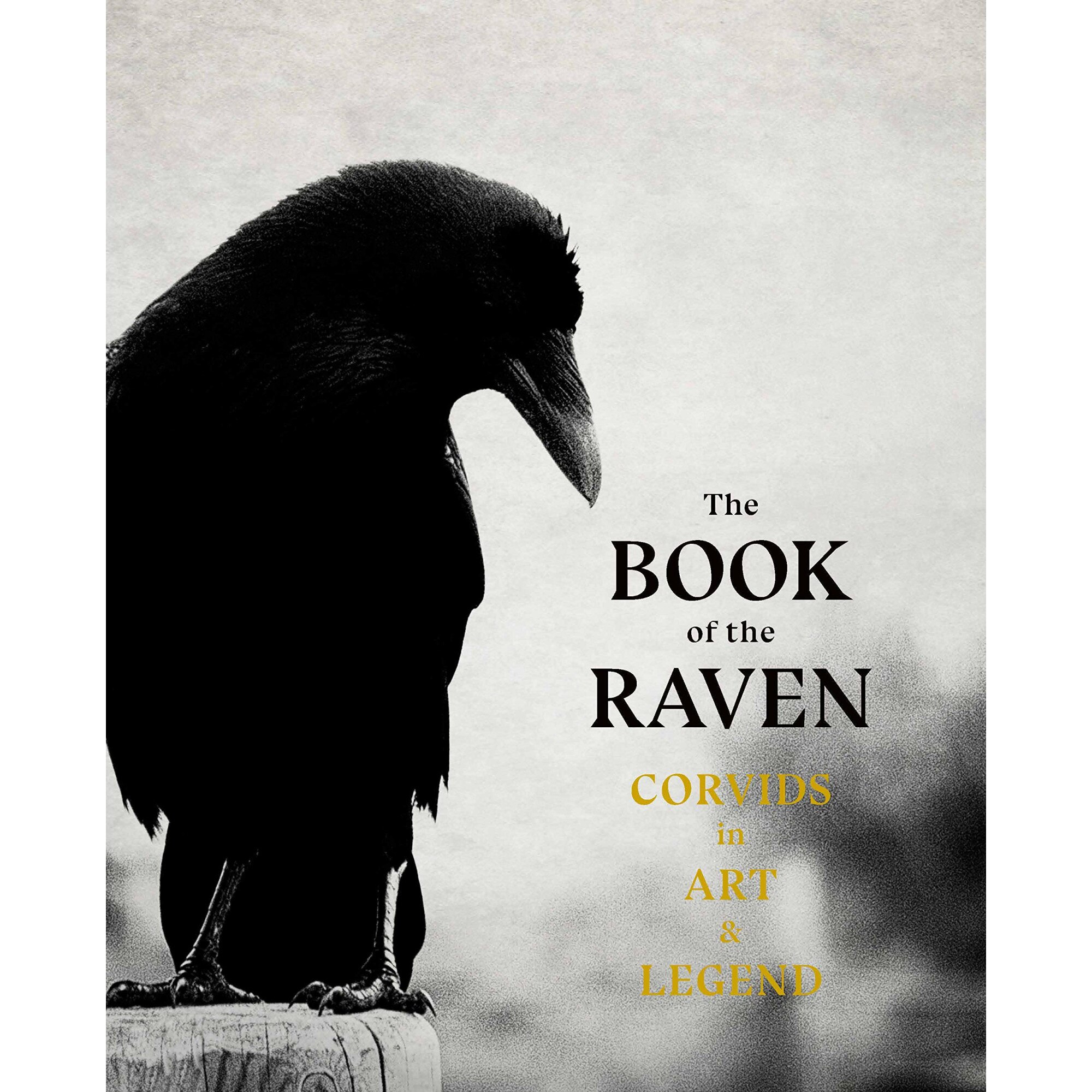 The Book of the Raven - Angus HylandCaroline Roberts