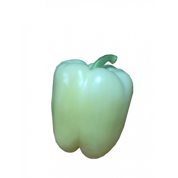 Seminte ardei gras, ENZA ZADEN , Blancina F1 - 500 seminte Seminte ardei gras, ENZA ZADEN , Blancina F1 - 500 seminte