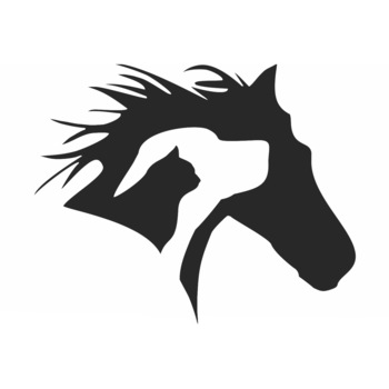 Decor perete Personalizabil Cal Caine Pisica din lemn 29 cm x 24 cm Decor perete Personalizabil Cal Caine Pisica din lemn 29 cm x 24 cm