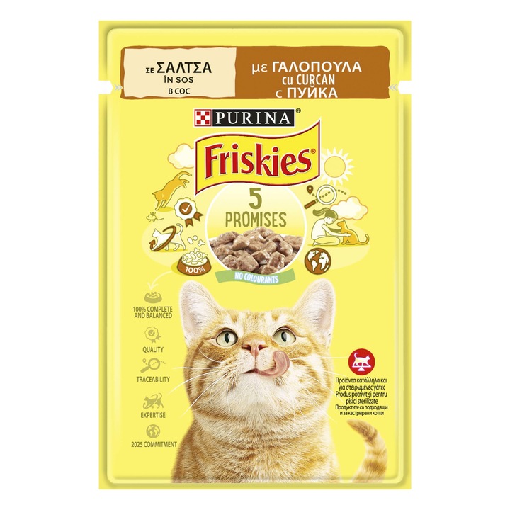 Pachet promo: 13 x Hrana umeda pentru pisici Friskies Adult, Curcan in Sos, 85 g