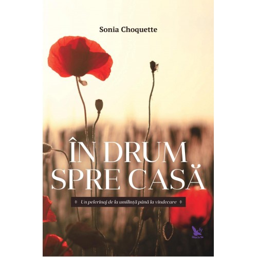 In drum spre casa - Choquette Sonia