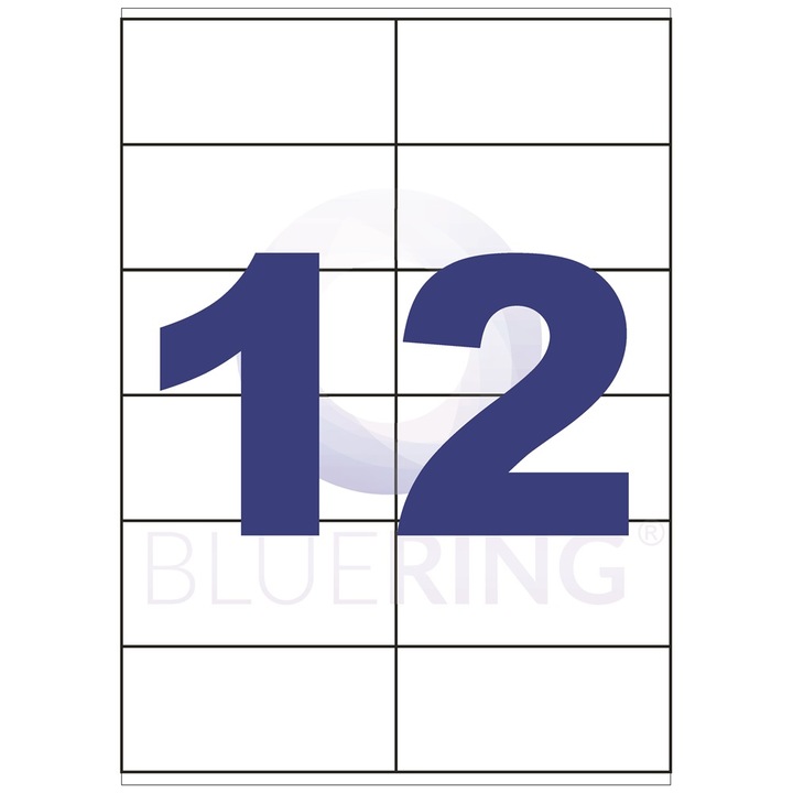 Eticheta 105x48mm 12 etichete/coala BLUERING