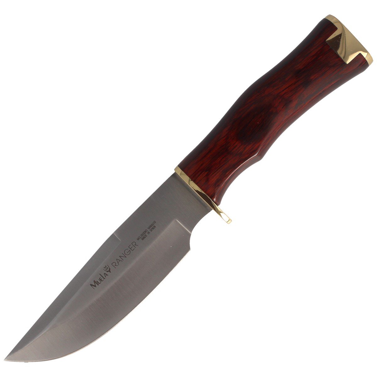 Cutit Muela RANGER-13 Bowie Pakkawood, Otel inoxidabil, 13.5 cm, Maro