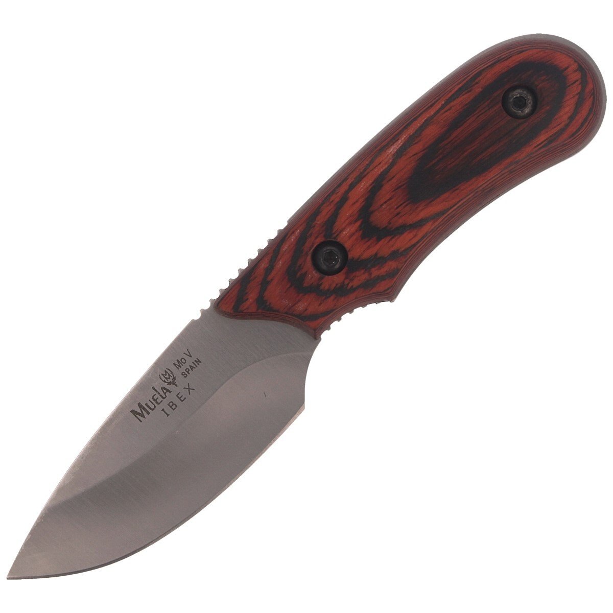 Cutit Muela IBEX-8R Skinner Pakkawood, Otel inoxidabil, 7.5 cm, Maro