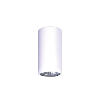Spot K-4414 SANTI,Alb, cu 1 sursa de iluminare,GU10, 50 W Spot K-4414 SANTI,Alb, cu 1 sursa de iluminare,GU10, 50 W