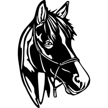 Decor perete Cap de Cal HH735 din lemn 30x45 cm Decor perete Cap de Cal HH735 din lemn 30x45 cm