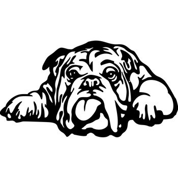 Decor perete Catel Bull Dog HH698 din lemn 46x25 cm Decor perete Catel Bull Dog HH698 din lemn 46x25 cm