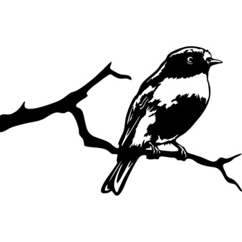 Decor perete Pasare pe Creanga HH754 din lemn 57x35 cm Decor perete Pasare pe Creanga HH754 din lemn 57x35 cm