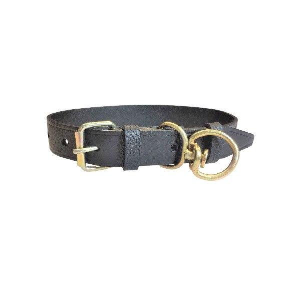 Zgarda caine talie medie, Bencomplex, 2.5x55 cm