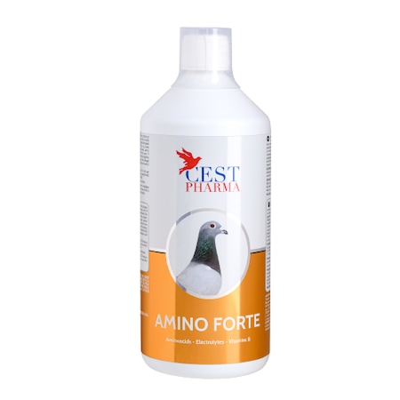 Supliment pentru porumbei, Amino Forte, Cest Pharma, 1000 ml