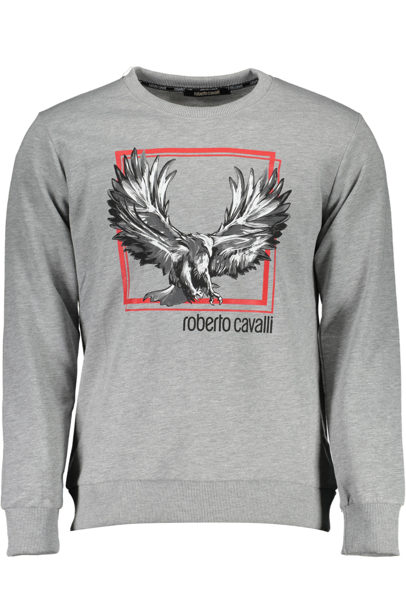 Hanorac barbat, ROBERTO CAVALLI, 9105947, Logo, Albastru, Gri