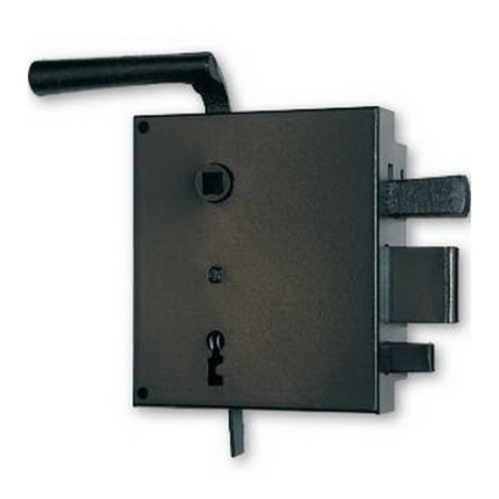 Broasca usa, Elzett, Negru