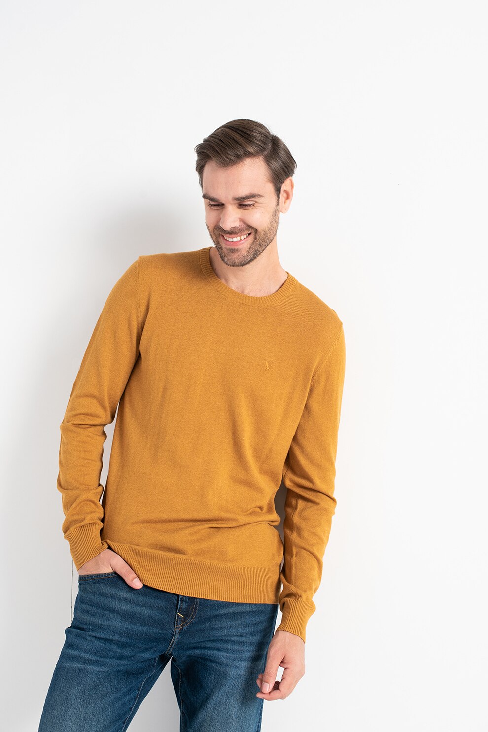 American Eagle, Pulover cu decolteu rotund si broderie logo, Galben mustar