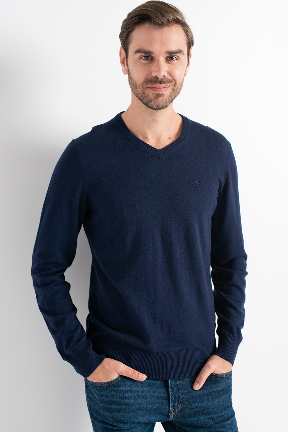 American Eagle, Pulover cu decolteu in V si broderie logo, Bleumarin