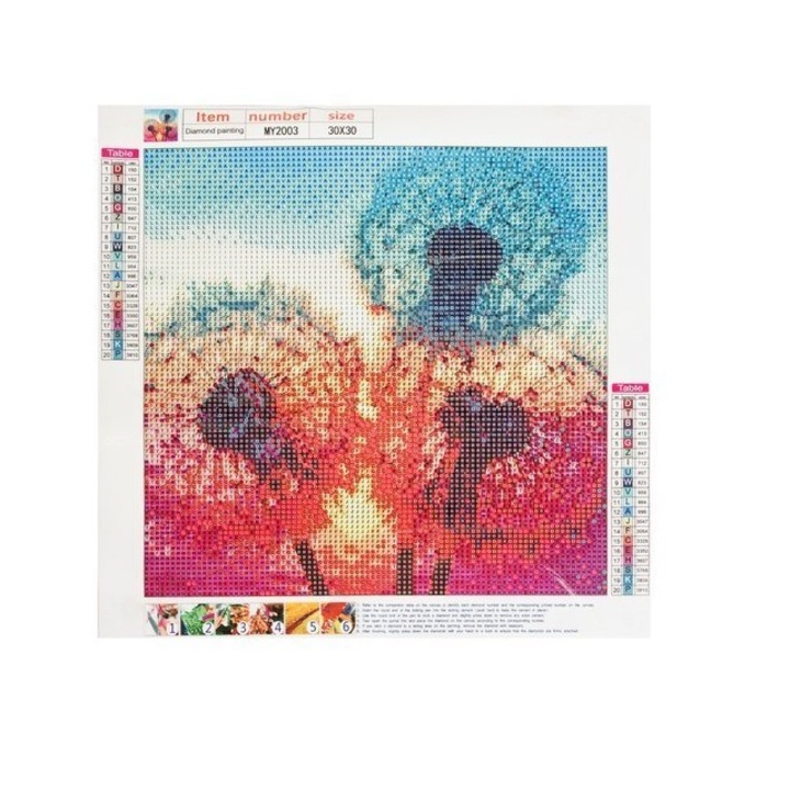 Mozaic cu Diamante 30 x 30 model Papadii