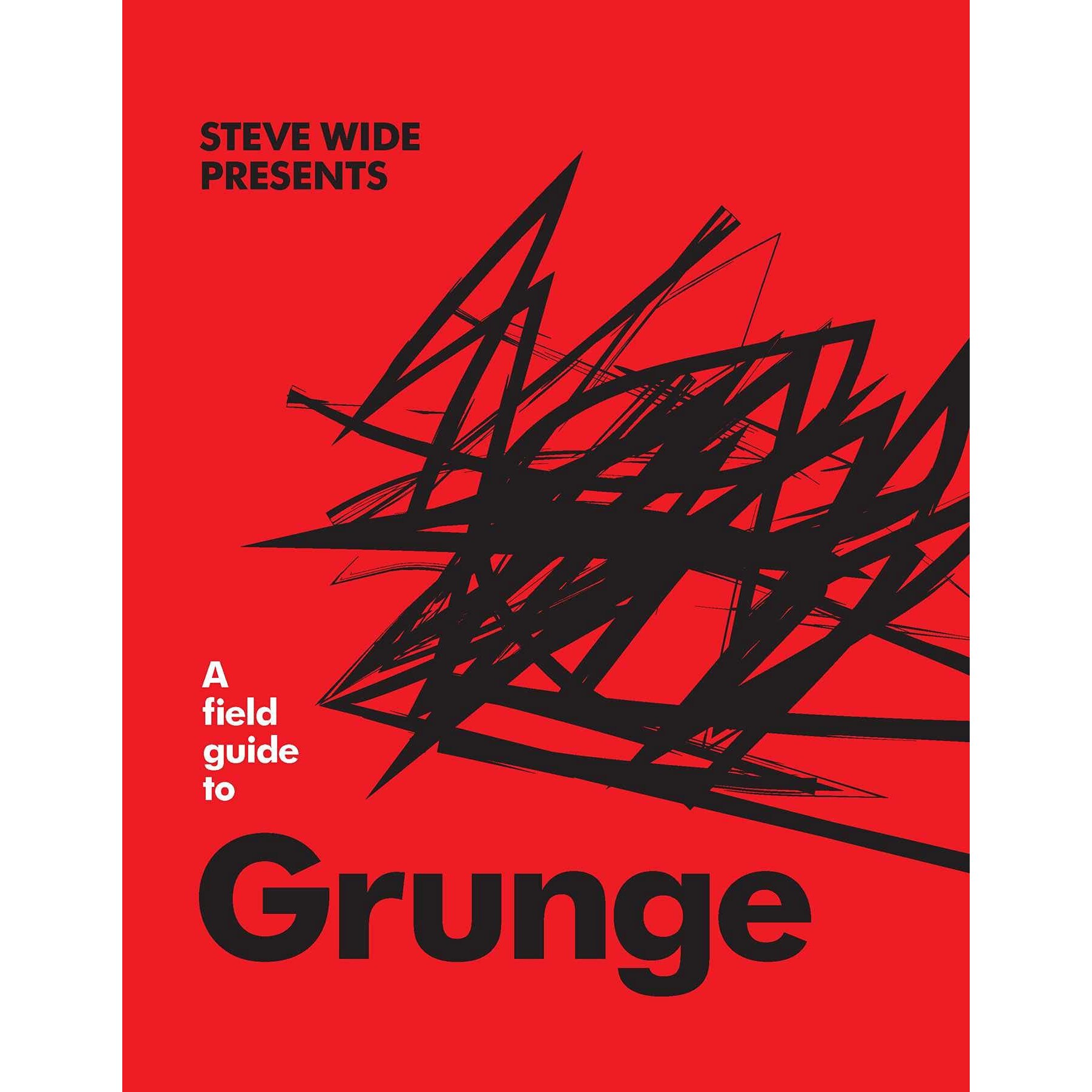 A Field Guide to Grunge - Steve Wide