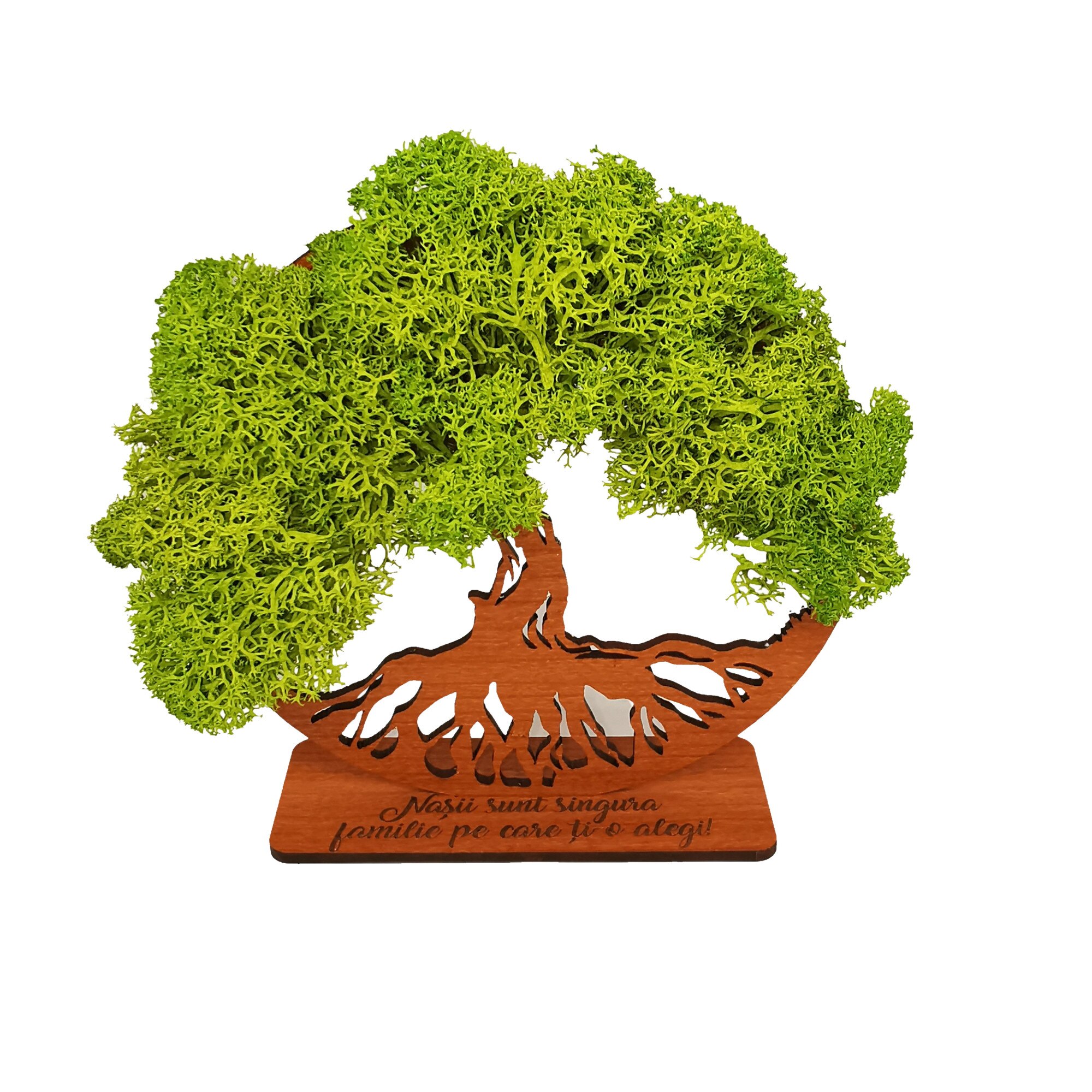 Decoratiune Copacul vietii cu licheni verzi, cu suport gravat cu mesaj 