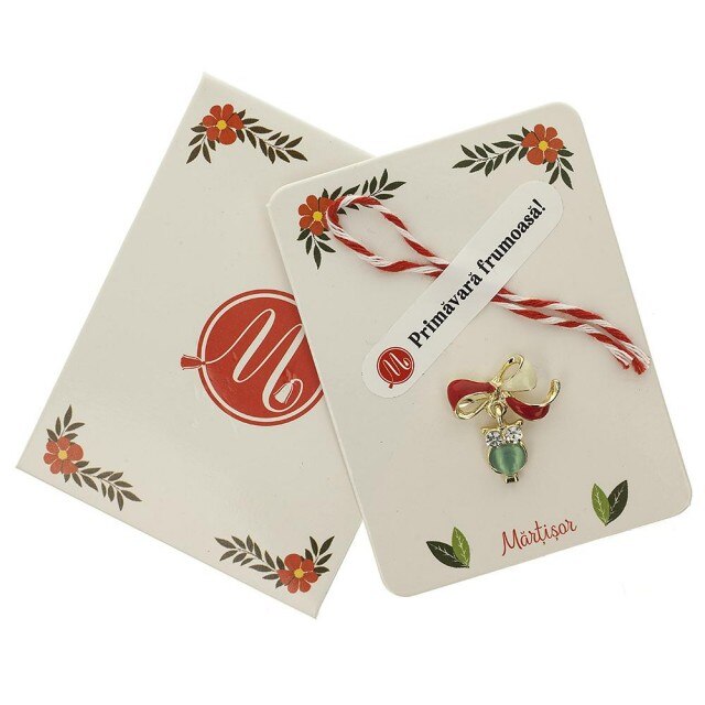 Brosa Jucausa Bufnita Turcoaz