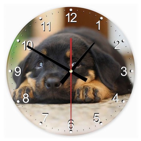 Rottweiler 4 kör alakú üveg óra falióra - eMAG.hu