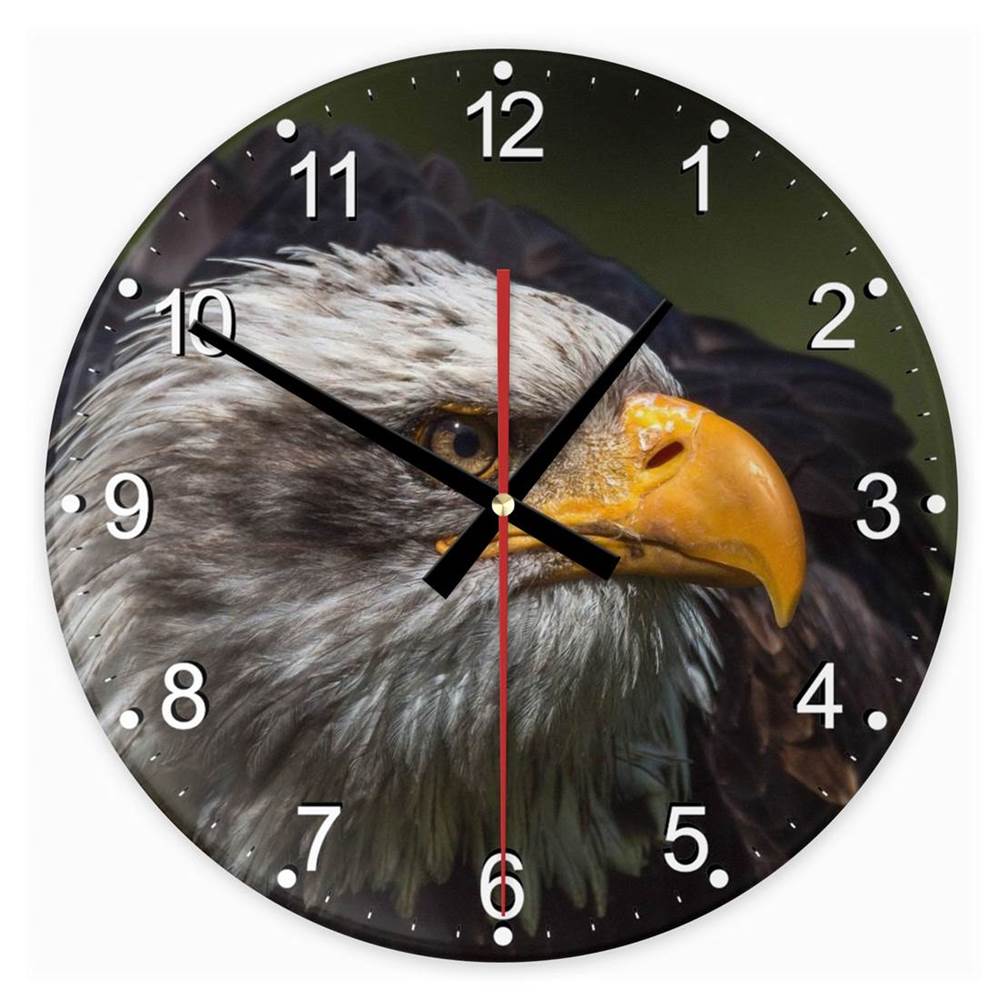 Sas madár 115 kör alakú üveg óra falióra - eMAG.hu