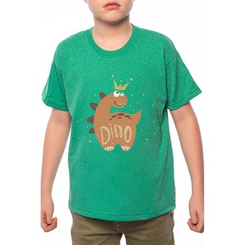 Tricou Baiat, Dino, 100% Bumbac, B109, Verde Tricou Baiat, Dino, 100% Bumbac, B109, Verde