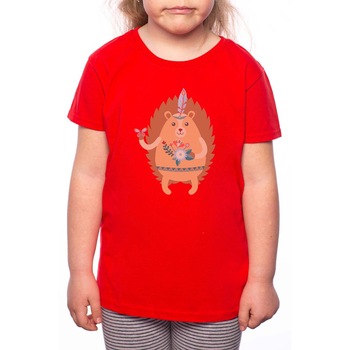 Tricou Fetita, Hedgehog With Flower, 100% Bumbac, P163, Rosu Tricou Fetita, Hedgehog With Flower, 100% Bumbac, P163, Rosu