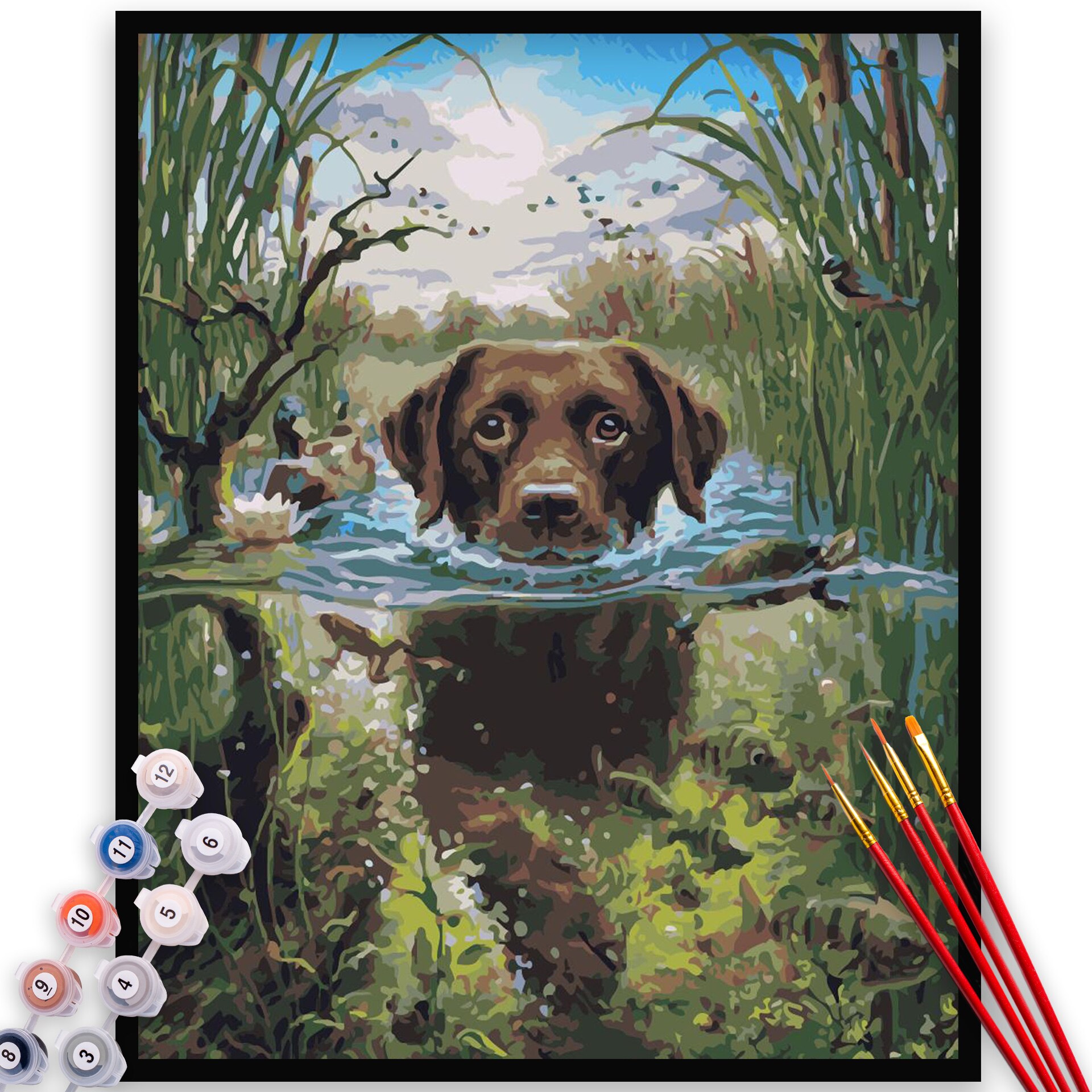 Kit Pictura pe numere, panza, rama lemn, pensule si culori acrilice, 40x50 cm, Animale, M337