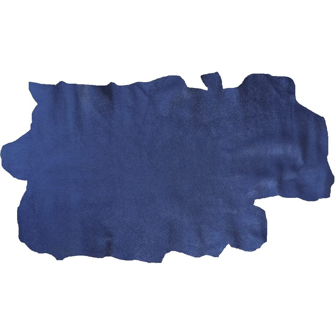 Piele cerveau , albastru