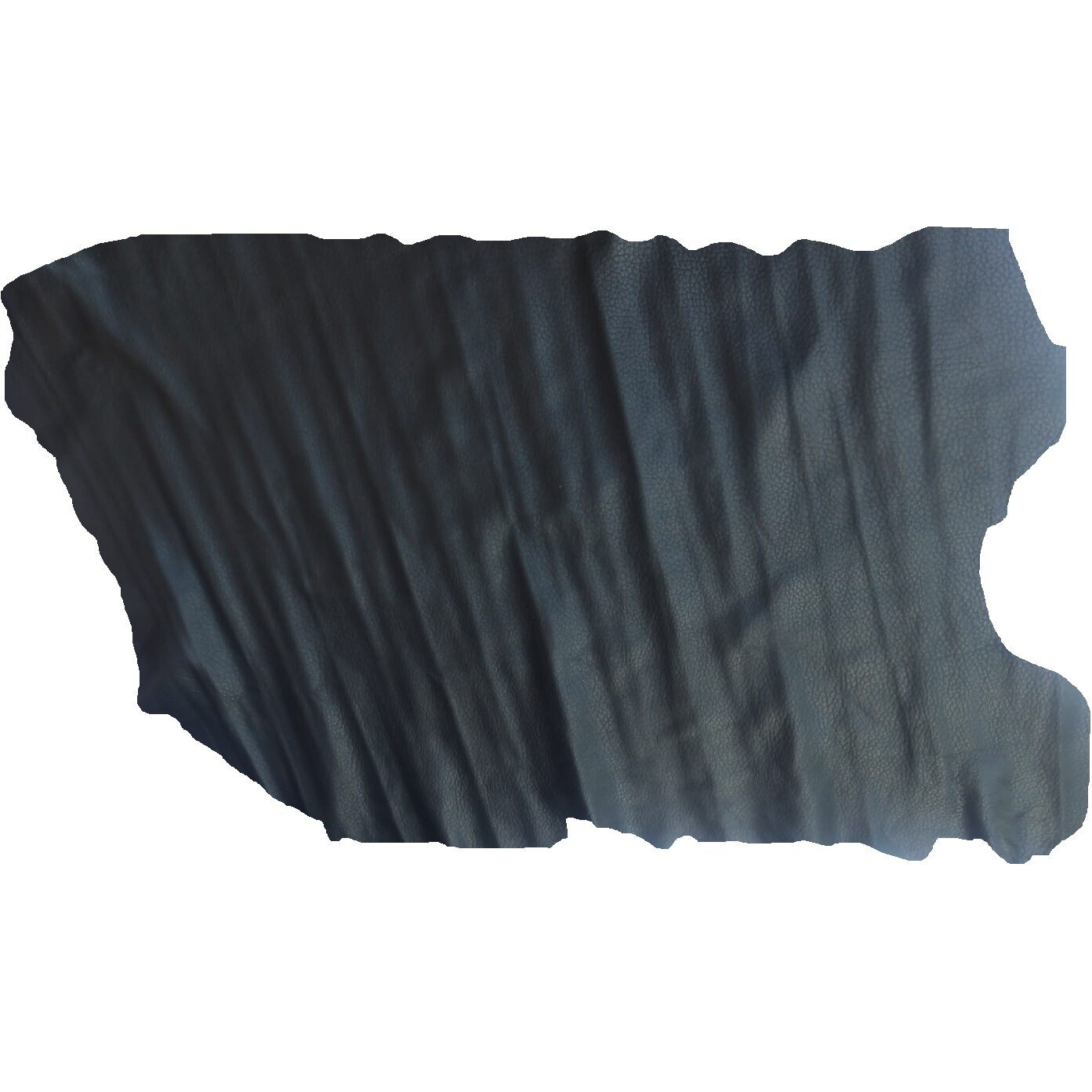 Piele cerveau , negru