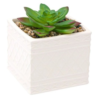 Ghiveci decorativ, Zola®, din ceramica, alb, cu cactus si pietricele, 12 cm Ghiveci decorativ, Zola®, din ceramica, alb, cu cactus si pietricele, 12 cm