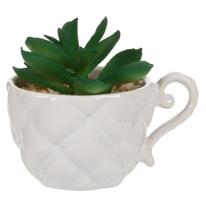 Ghiveci decorativ, Zola®, din ceramica, alb, model ceasca, cu planta si pietricele, 9 cm