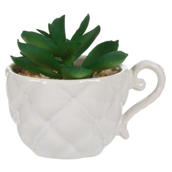 Ghiveci decorativ, Zola®, din ceramica, alb, model ceasca, cu planta si pietricele, 9 cm Ghiveci decorativ, Zola®, din ceramica, alb, model ceasca, cu planta si pietricele, 9 cm