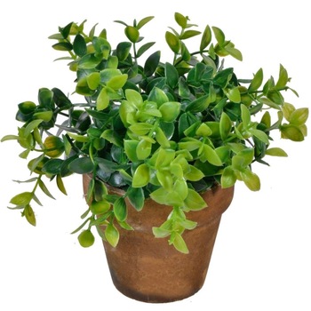 Ghiveci decorativ, Zola®, maro, din ceramica, cu bonsai, 15 cm Ghiveci decorativ, Zola®, maro, din ceramica, cu bonsai, 15 cm